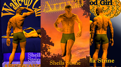 A composite of three book covers, being Wake-up Call, Arrival and Good Girl, all by Sheila Strine.